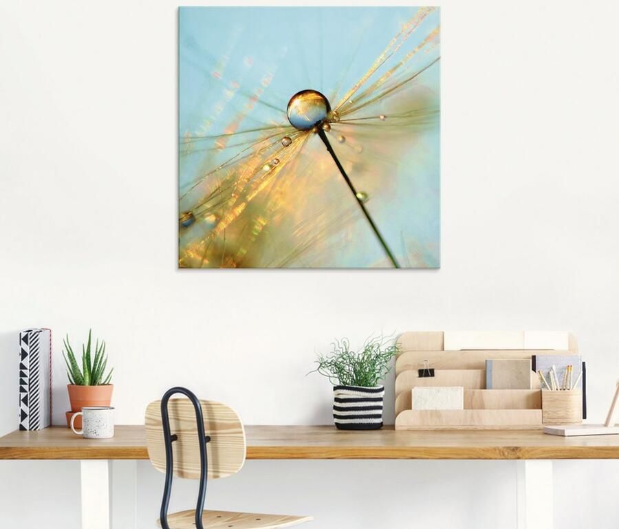 Artland Print op glas Paardebloem dauwdruppels II - Foto 5