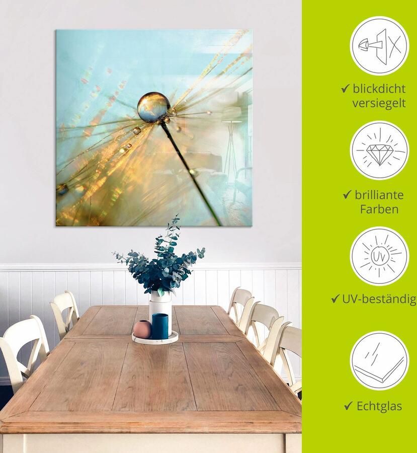 Artland Print op glas Paardebloem dauwdruppels II - Foto 4