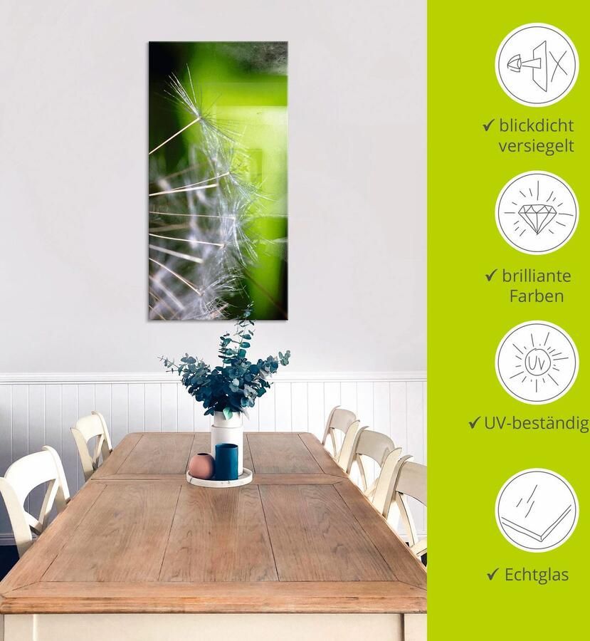 Artland Print op glas Paardebloem zaden in verschillende maten - Foto 4