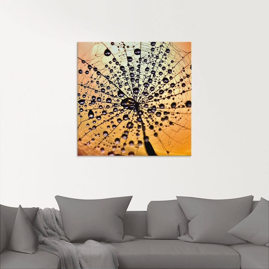 Artland Print op glas Pluizenbol druppelvanger