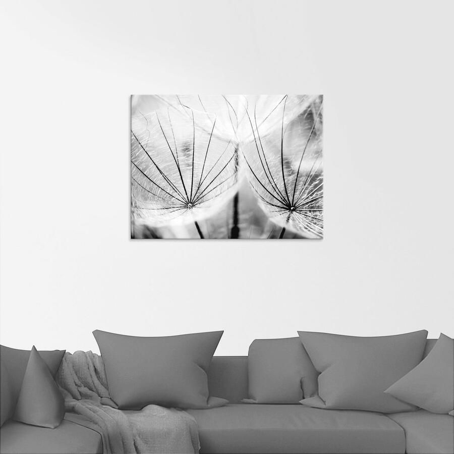Artland Print op glas Pluizenbol in zwart-wit - Foto 2