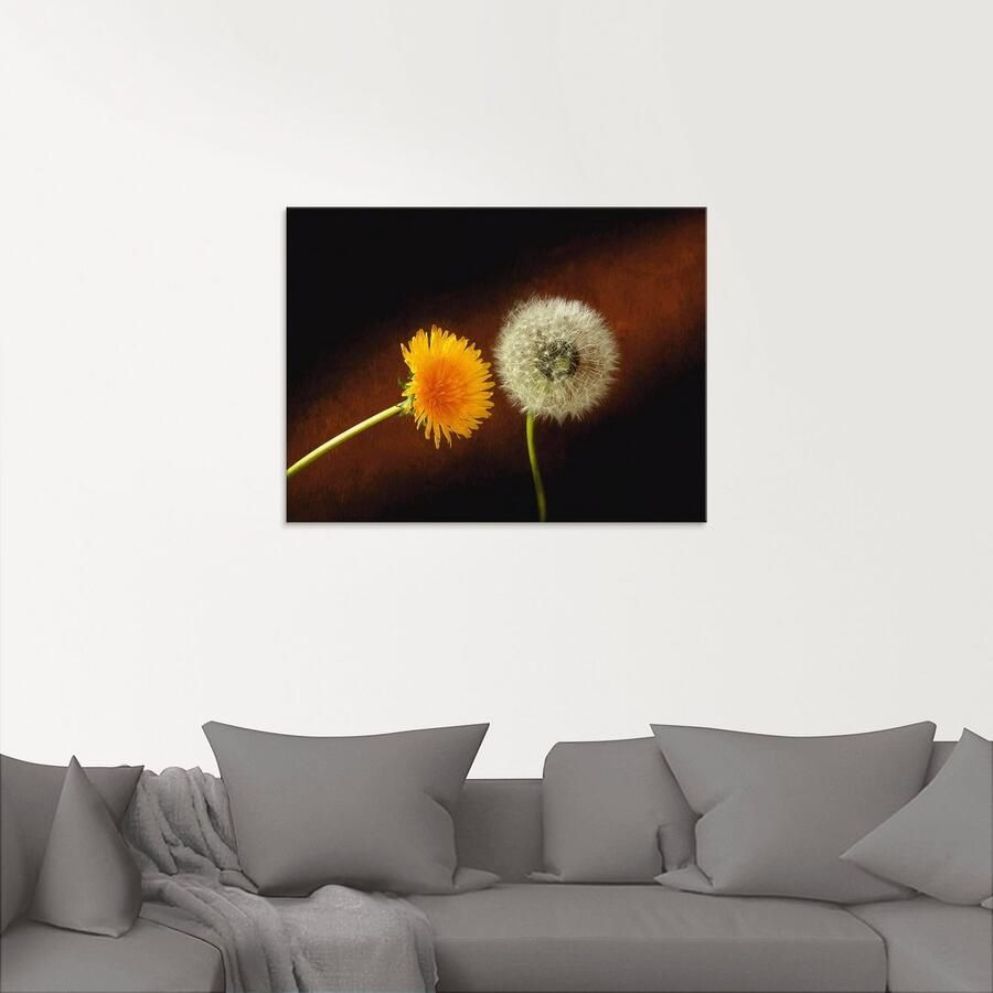 Artland Print op glas Pluizenbol paardenbloem - Foto 2