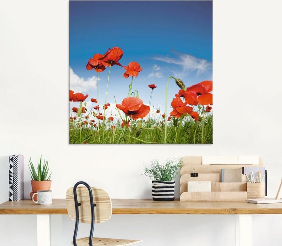 Artland Print op glas Veld met klaprozen onder de hemel - Foto 5