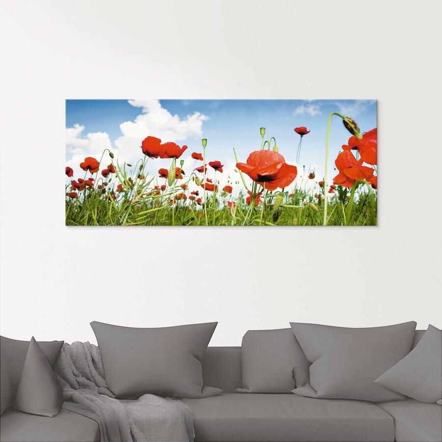 Artland Print op glas Veld met klaprozen onder de hemel - Foto 2