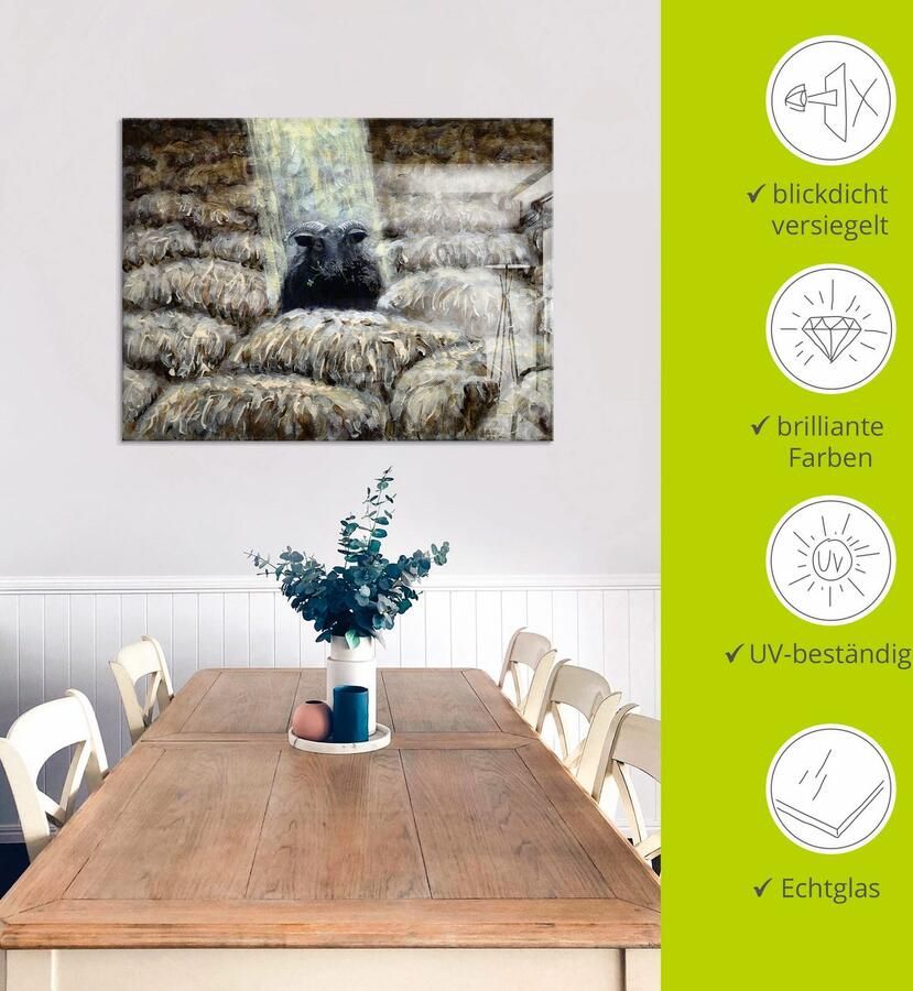 Artland Print op glas Zwarte schaap in verschillende maten - Foto 4