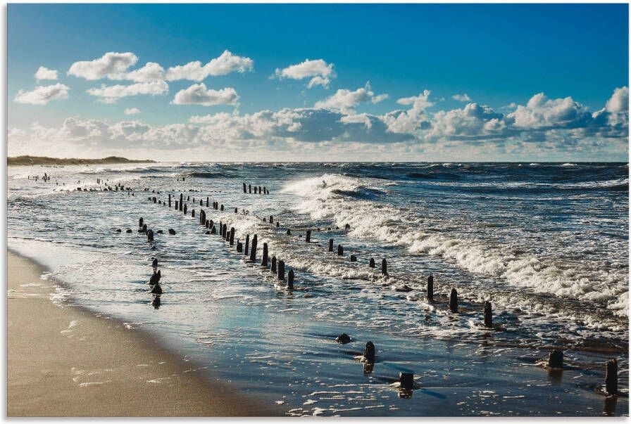 Artland Artprint Aan de kust van de Oostzee als artprint van aluminium artprint voor buiten artprint op linnen in verschillende maten - Foto 5