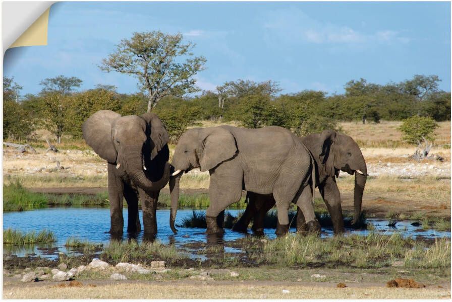 Artland Artprint Afrikaanse olifant EtoshaNationalpark als artprint op linnen muursticker in verschillende maten - Foto 5