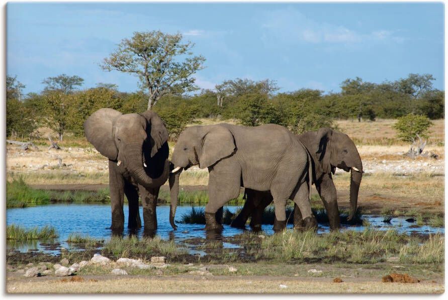 Artland Artprint Afrikaanse olifant EtoshaNationalpark als artprint op linnen muursticker in verschillende maten