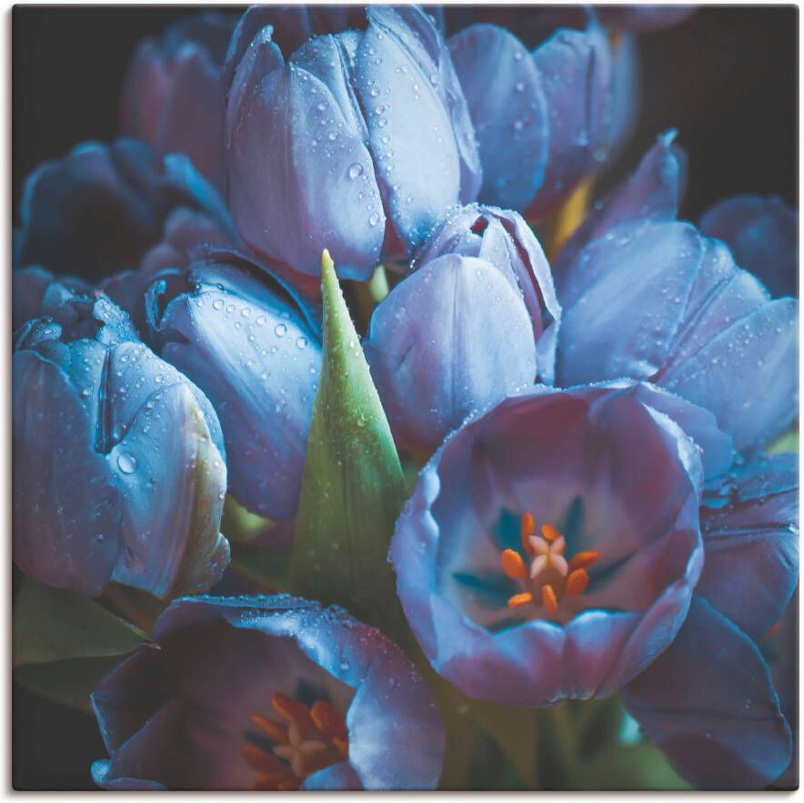 Artland Artprint op linnen Tulpen gespannen op een spieraam - Foto 1