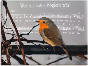Artland Artprint Als ik een vogeltje was in vele afmetingen & productsoorten -artprint op linnen poster muursticker wandfolie ook geschikt voor de badkamer (1 stuk)
