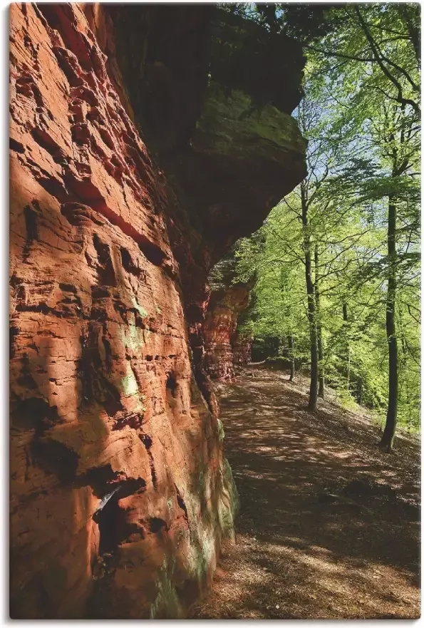 Artland Artprint Altschlossfelsen I in vele afmetingen & productsoorten artprint van aluminium artprint voor buiten artprint op linnen poster muursticker wandfolie ook geschikt voor de badkamer (1 stuk)