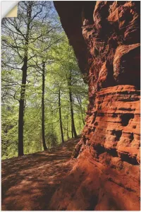 Artland Artprint Altschlossfelsen II in vele afmetingen & productsoorten artprint van aluminium artprint voor buiten artprint op linnen poster muursticker wandfolie ook geschikt voor de badkamer (1 stuk)