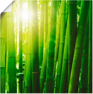 Artland Artprint Aziatisch bamboebos in ochtendlicht in vele afmetingen & productsoorten -artprint op linnen poster muursticker wandfolie ook geschikt voor de badkamer (1 stuk)