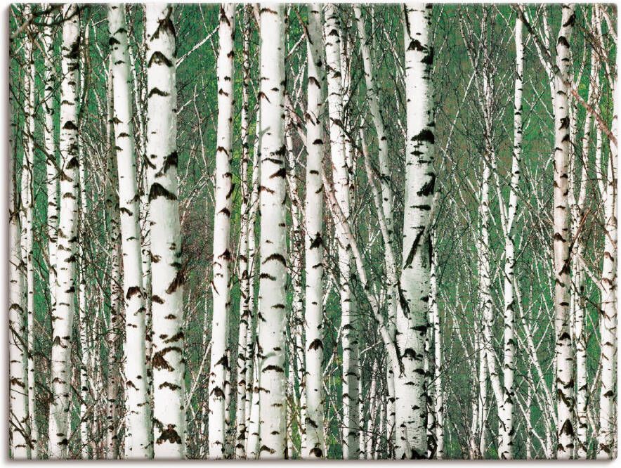 Artland Artprint Berkenbos bomen als artprint op linnen muursticker in verschillende maten
