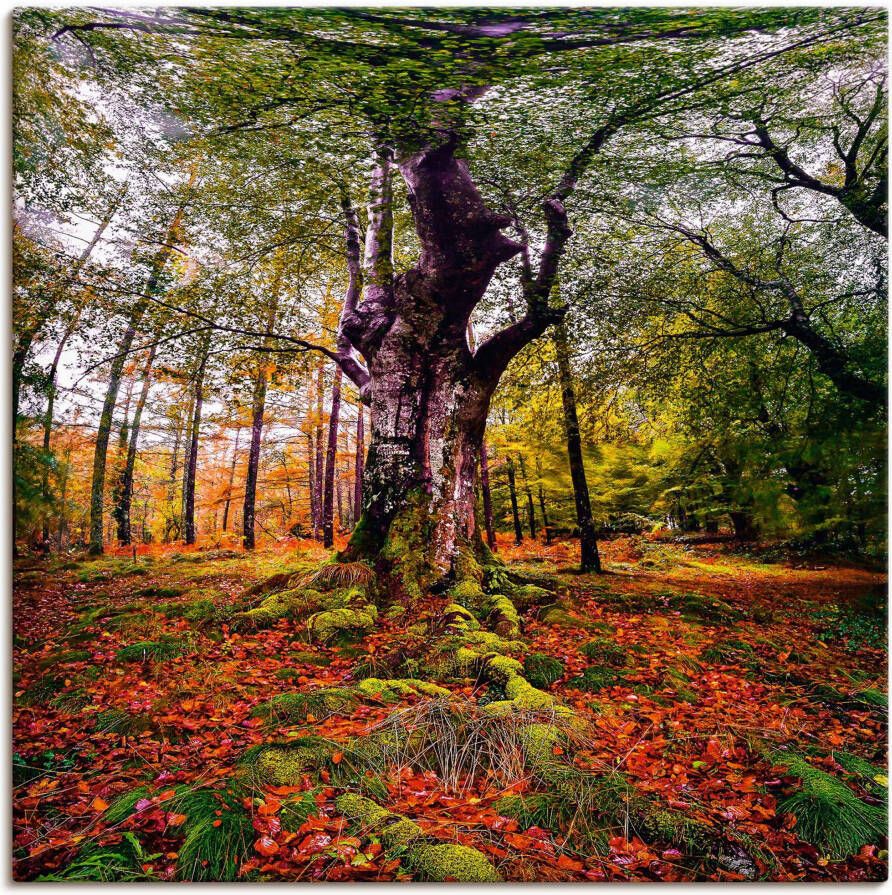Artland Artprint Boom in het bos als artprint op linnen poster in verschillende formaten maten