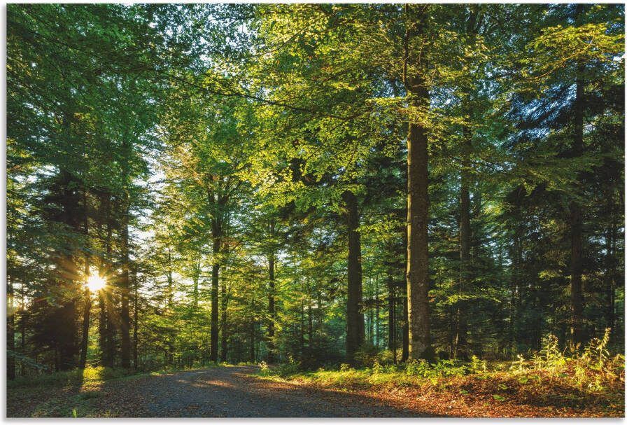 Artland Artprint Bospad in het romantische Zwarte Woud als artprint van aluminium artprint op linnen muursticker verschillende maten - Foto 5