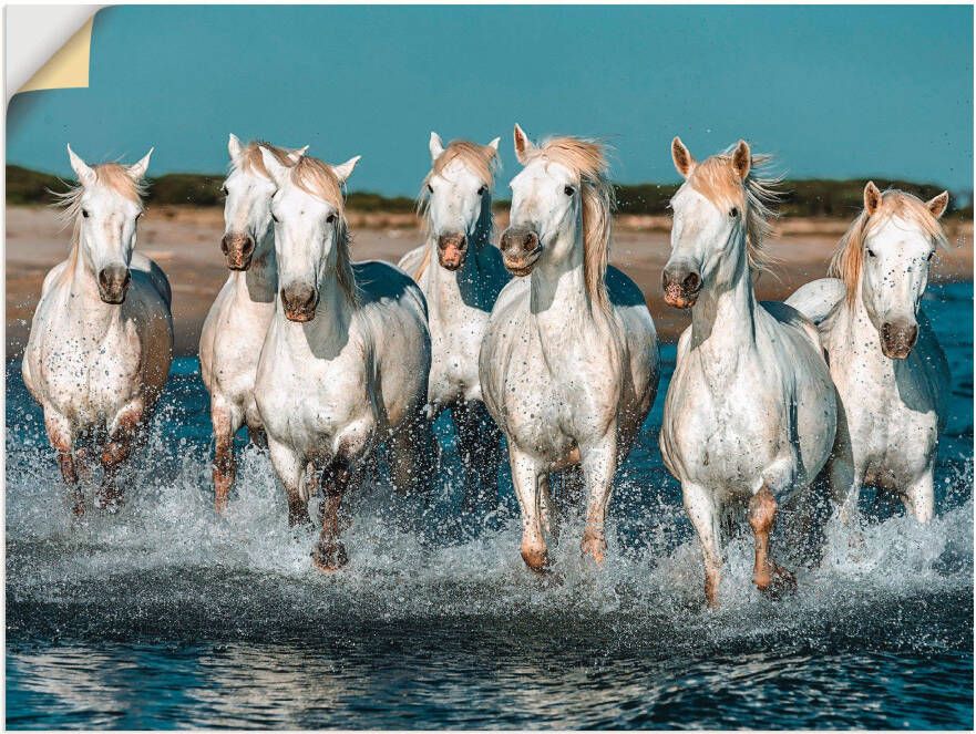 Artland Artprint Camargue paarden galopperen op het strand als artprint van aluminium artprint voor buiten artprint op linnen poster muursticker