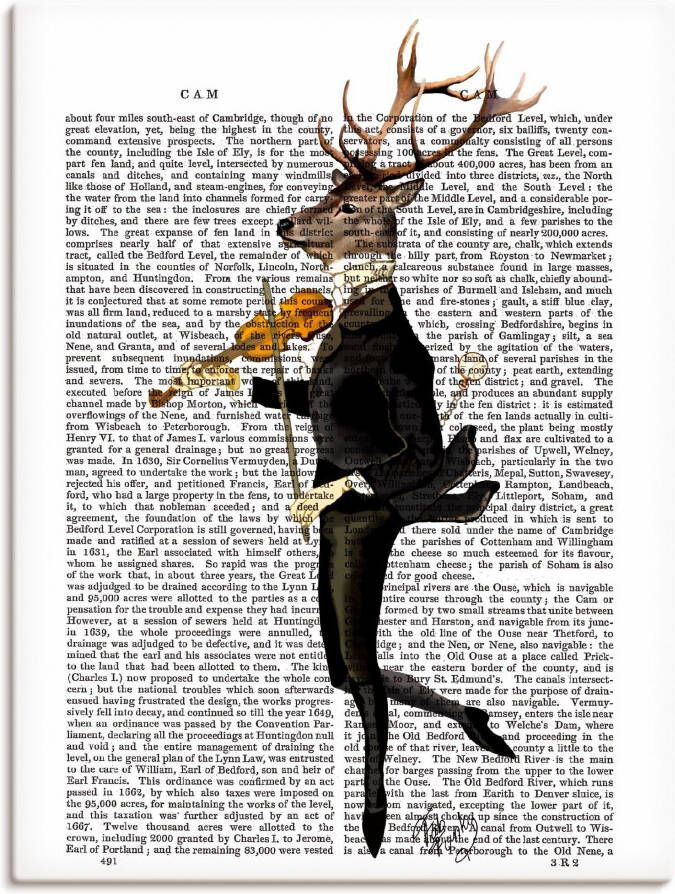 Artland Artprint Dansend hert met viool als artprint op linnen poster muursticker in verschillende maten - Foto 3