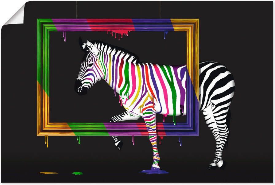 Artland Artprint De regenboog zebra als artprint op linnen poster muursticker in verschillende maten