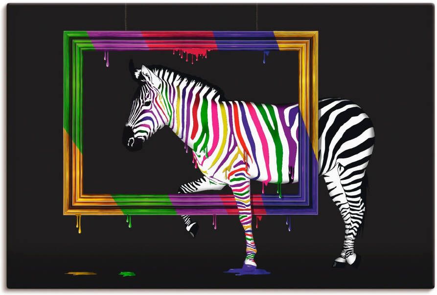 Artland Artprint De regenboog zebra als artprint op linnen poster muursticker in verschillende maten - Foto 3