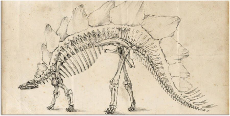 Artland Artprint Dinosaurus leer III als artprint van aluminium artprint voor buiten muursticker in diverse maten - Foto 7