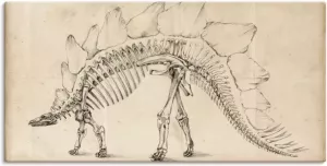 Artland Artprint Dinosaurus leer III in vele afmetingen & productsoorten artprint van aluminium artprint voor buiten artprint op linnen poster muursticker wandfolie ook geschikt voor de badkamer (1 stuk)
