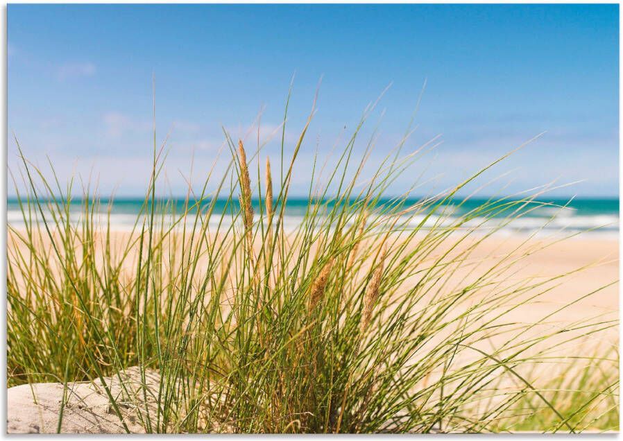 Artland Artprint Duingras als artprint van aluminium artprint voor buiten artprint op linnen poster in verschillende maten. maten - Foto 10