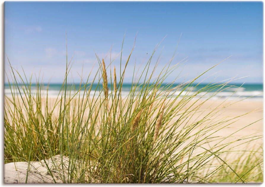 Artland Artprint Duingras als artprint van aluminium artprint voor buiten artprint op linnen poster in verschillende maten. maten - Foto 6