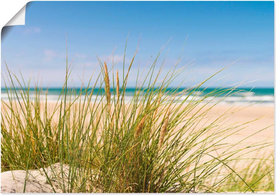 Artland Artprint Duingras als artprint van aluminium artprint voor buiten artprint op linnen poster in verschillende maten. maten - Foto 6