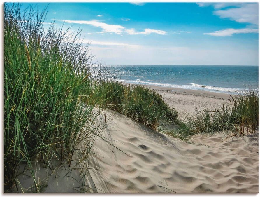 Artland Artprint Duinlandschap in de zomer aan de Noordzee als artprint van aluminium artprint voor buiten artprint op linnen poster muursticker - Foto 5