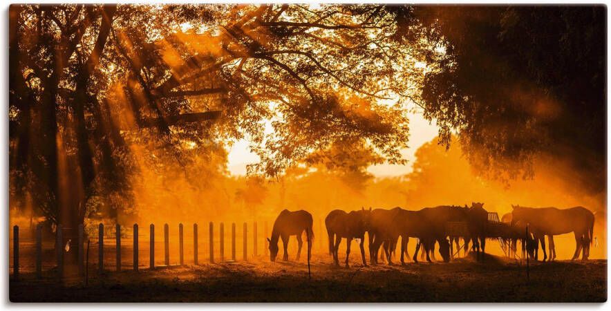 Artland Artprint Gouden licht op de paardenwei als artprint op linnen in verschillende maten - Foto 4