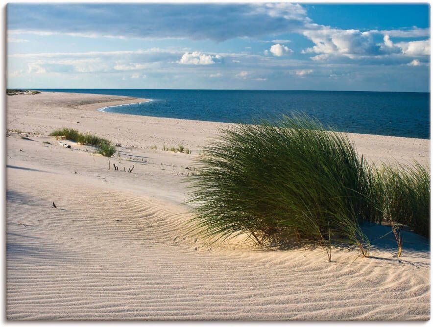 Artland Artprint Gras aan het strand als artprint van aluminium artprint voor buiten artprint op linnen in verschillende maten