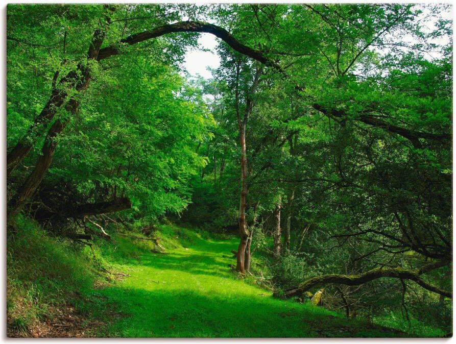 Artland Artprint Groene weg door het bos als artprint op linnen poster in verschillende formaten maten - Foto 2