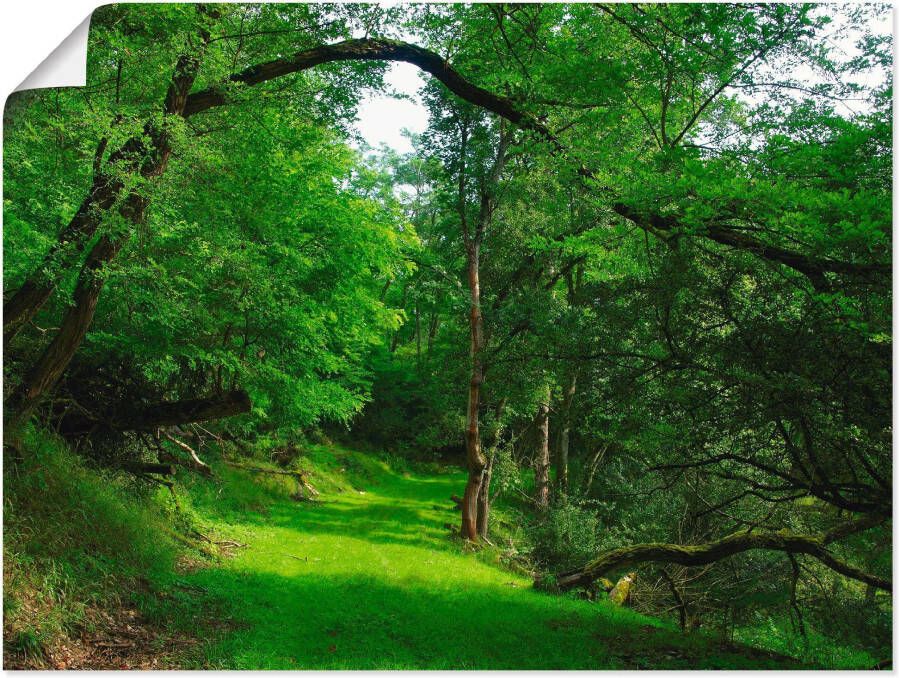 Artland Artprint Groene weg door het bos als artprint op linnen poster in verschillende formaten maten - Foto 2