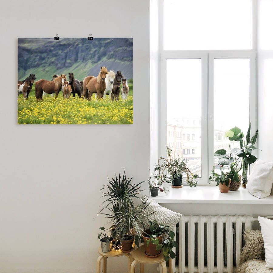 Artland Artprint IJslandse paarden VII als artprint op linnen poster muursticker in verschillende maten