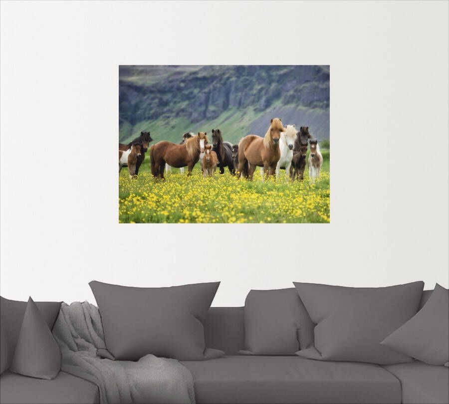 Artland Artprint IJslandse paarden VII als artprint op linnen poster muursticker in verschillende maten