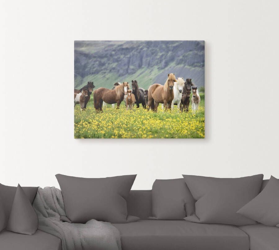 Artland Artprint IJslandse paarden VII als artprint op linnen poster muursticker in verschillende maten