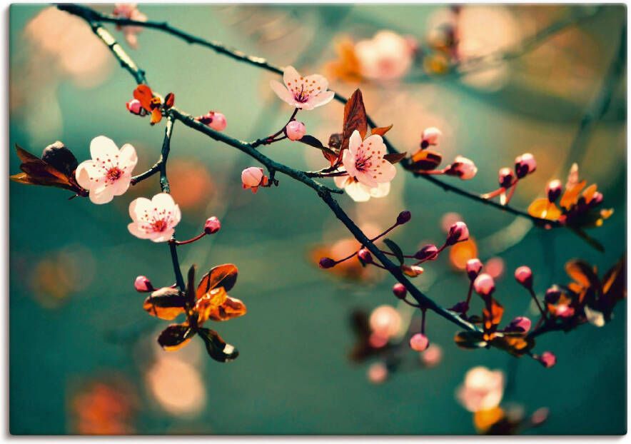 Artland Artprint Japanse kers Sakura bloemen als artprint op linnen poster in verschillende formaten maten - Foto 4