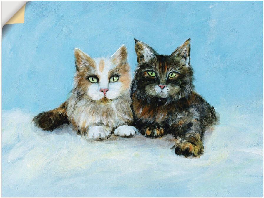 Artland Artprint Jonge Maine-Coon katten als muursticker in verschillende maten - Foto 5