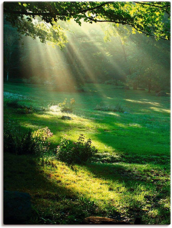 Artland Artprint Lichtbundel als artprint van aluminium artprint voor buiten artprint op linnen poster muursticker - Foto 9