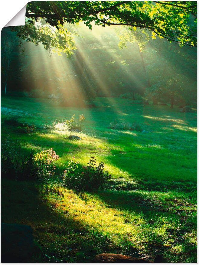 Artland Artprint Lichtbundel als artprint van aluminium artprint voor buiten artprint op linnen poster muursticker - Foto 9
