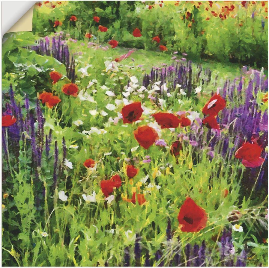 Artland Artprint Lupines en klaprozen als poster muursticker in verschillende maten - Foto 4