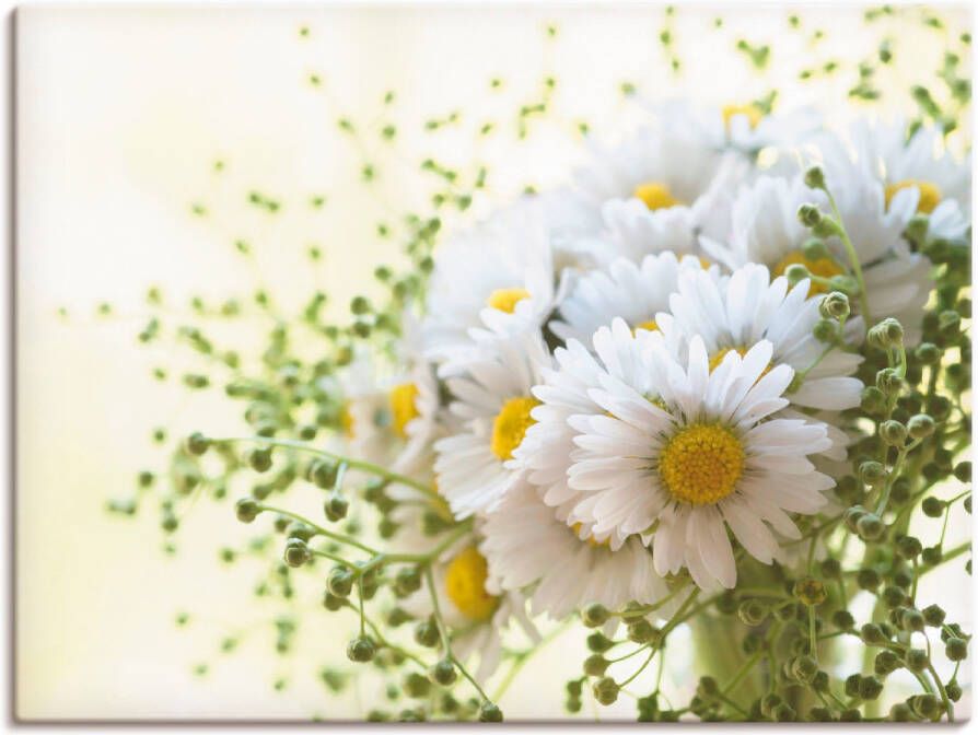 Artland Artprint Madeliefje met groen als artprint op linnen poster muursticker in verschillende maten - Foto 6