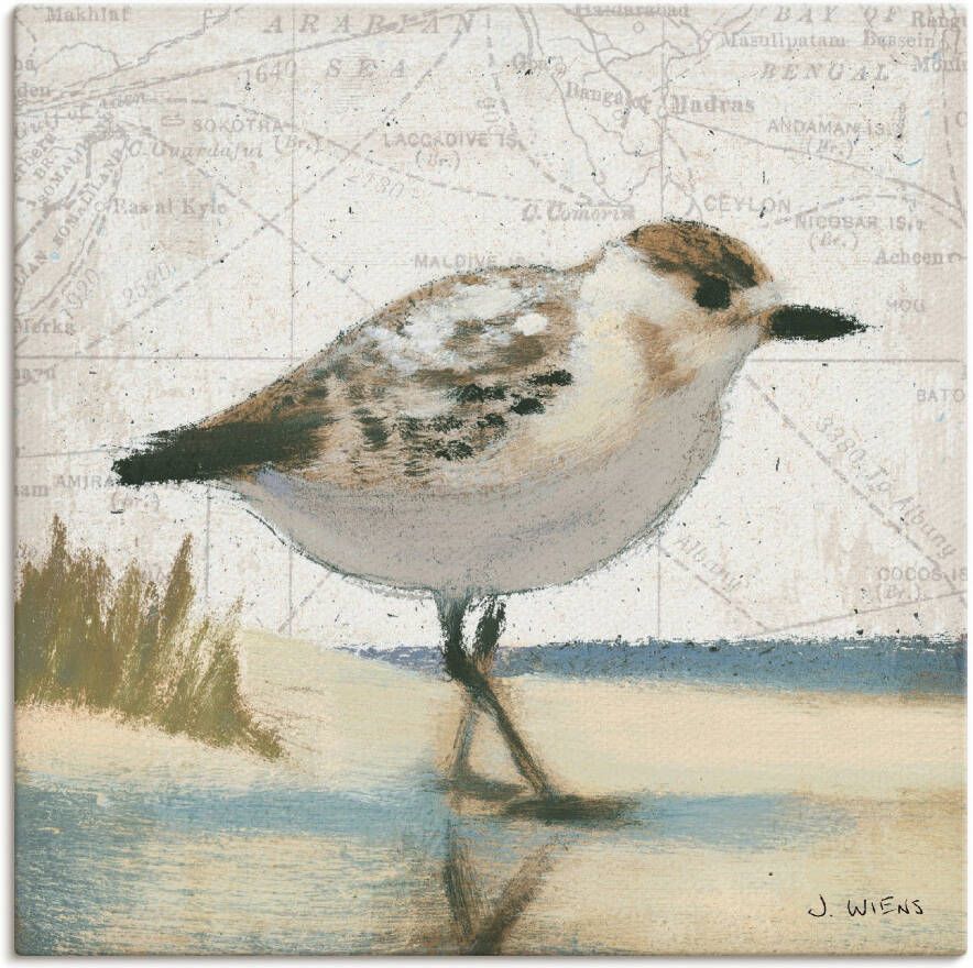 Artland Artprint op linnen Meeuw I