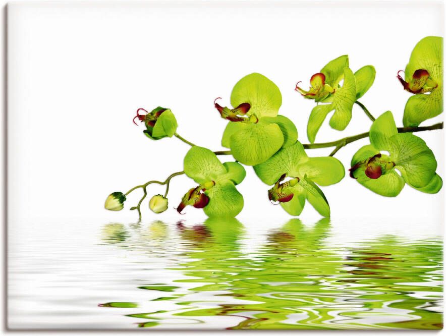 Artland Artprint Mooie orchidee met groene achtergrond als artprint op linnen muursticker in verschillende maten