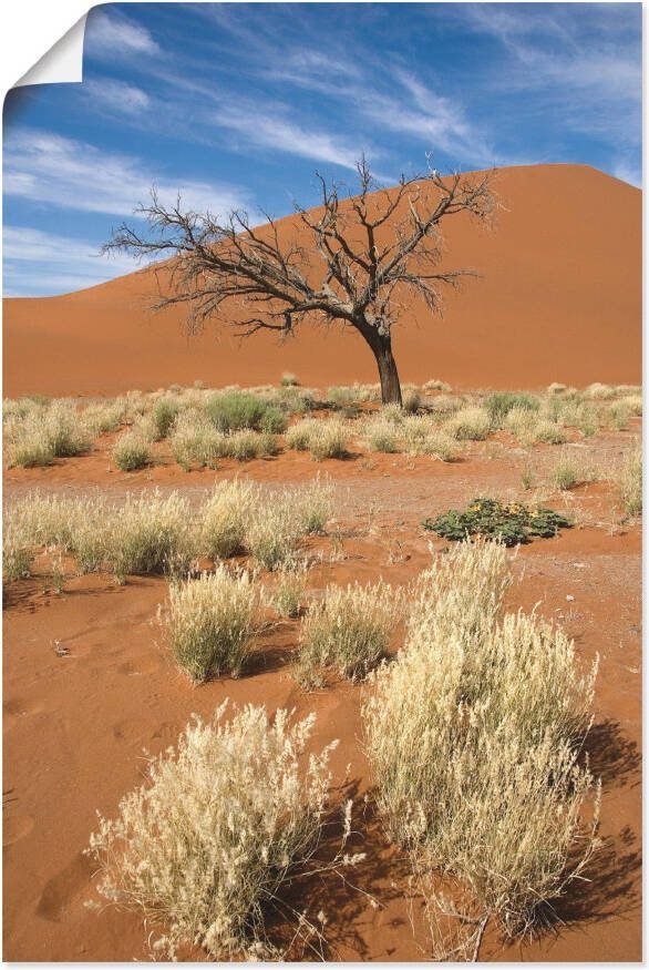 Artland Poster Namib-woestijn 2