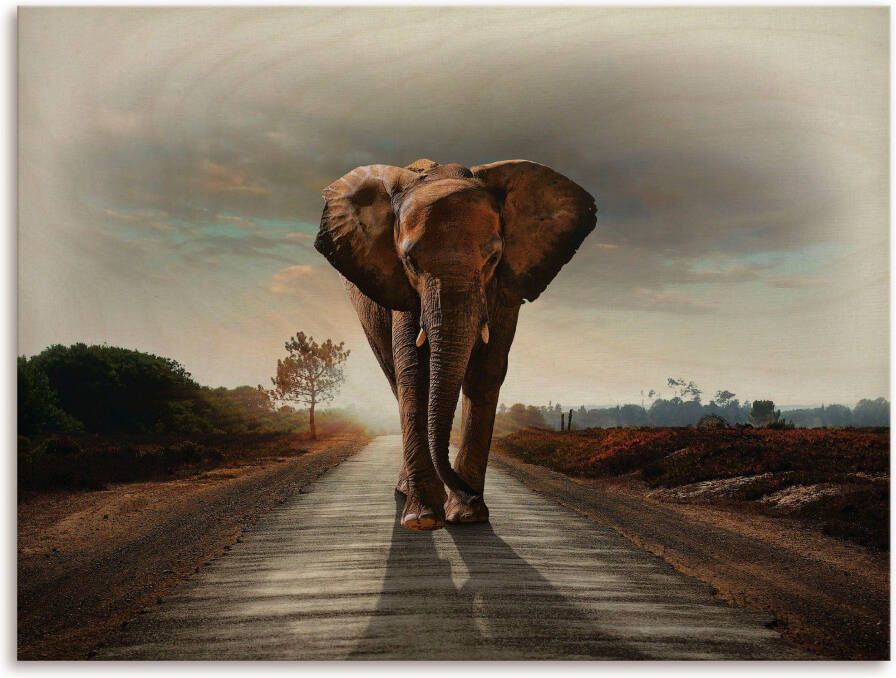 Artland Artprint op hout Een olifant loopt op de weg - Foto 3