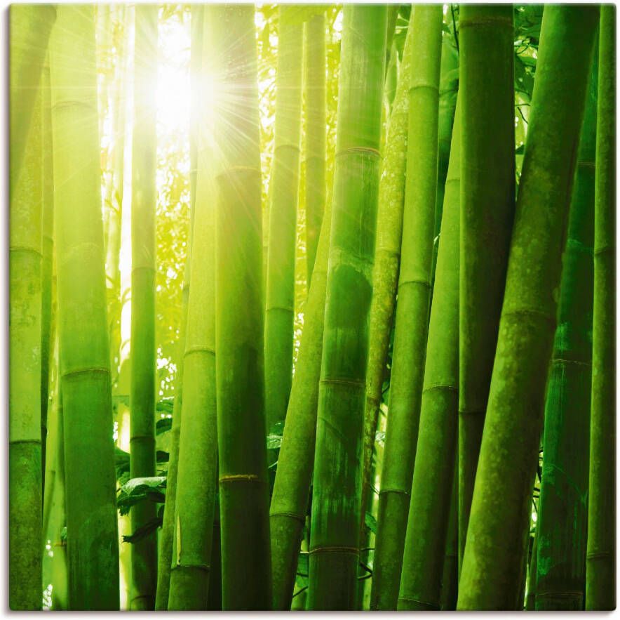 Artland Artprint op linnen Aziatisch bamboebos in ochtendlicht - Foto 4