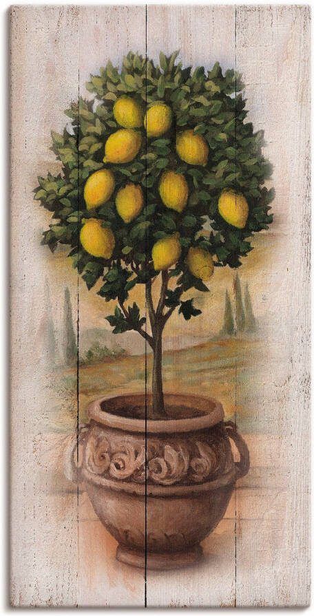 Artland Artprint op linnen Citroenboompje met hout-look - Foto 5