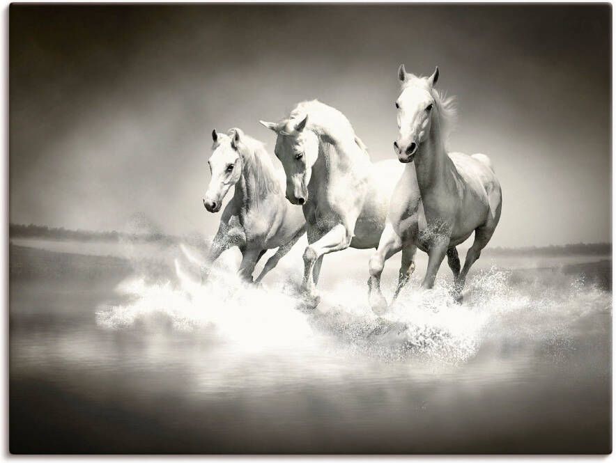 Artland Artprint op linnen Kudde van witte paarden gespannen op een spieraam - Foto 1
